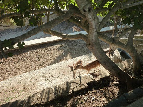 Μονή Κοιμήσεως της Θεοτόκου