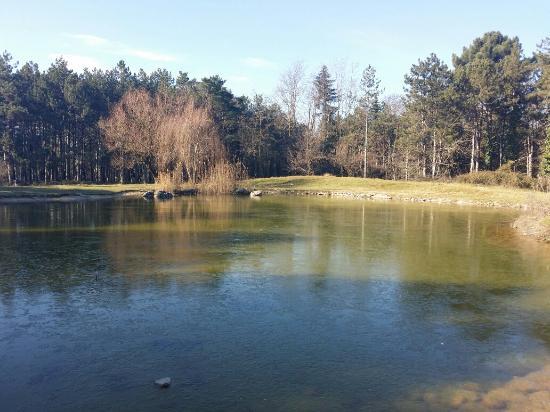 Πάρκο Πυρσινέλλα