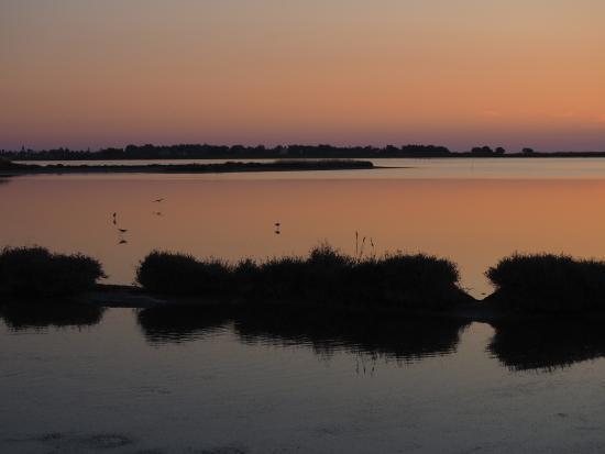 Υγροβιότοπος Αλίκης Τιγκάκι
