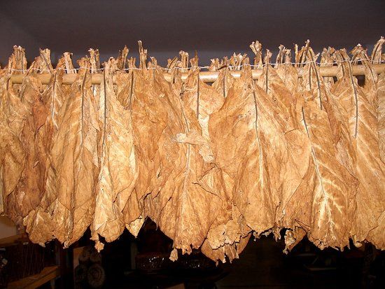 Μουσείο Καπνού Δήμου Καβάλας