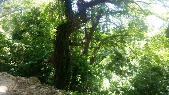 Το Μουσείο Νερόμυλος