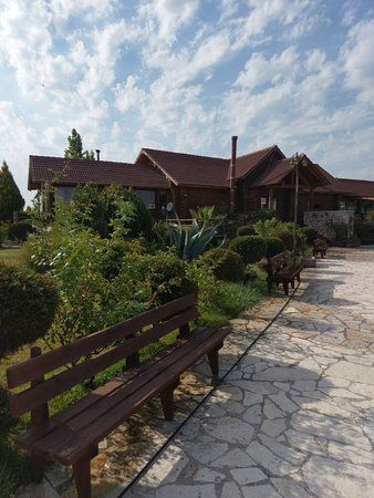 Ιπποκάμηλος