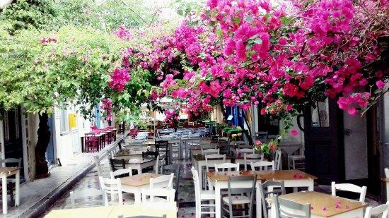 Ταβέρνα το Πέτρινο