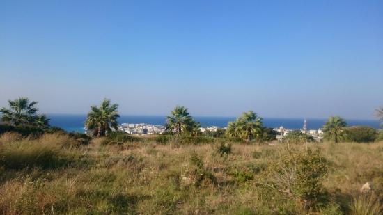 Πυθίου Ναός του Απόλλωνα