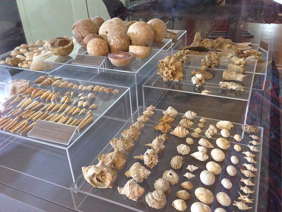 Μουσείο ΘάΛασσα