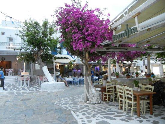 Οδός Ματογιάννη