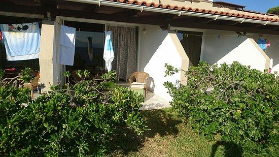 Μαυρος γατος