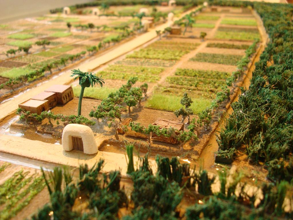 Υγρότοποι Ses Feixes