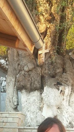 Μονή Αγίου Αθανασίου