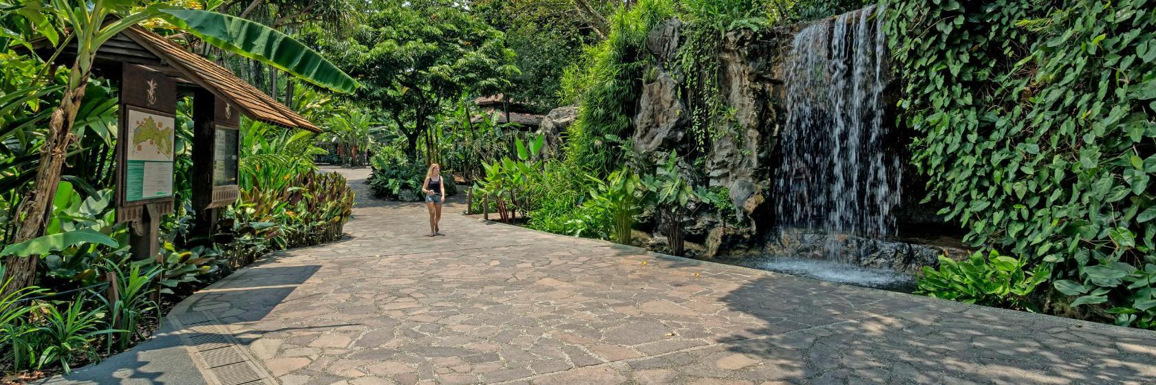 Βοτανικοί Κήποι Σιγκαπούρης