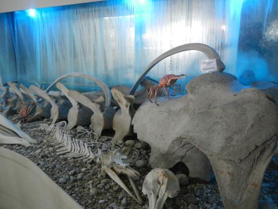 Μουσείο Θαλάσσης Κέρκυρας