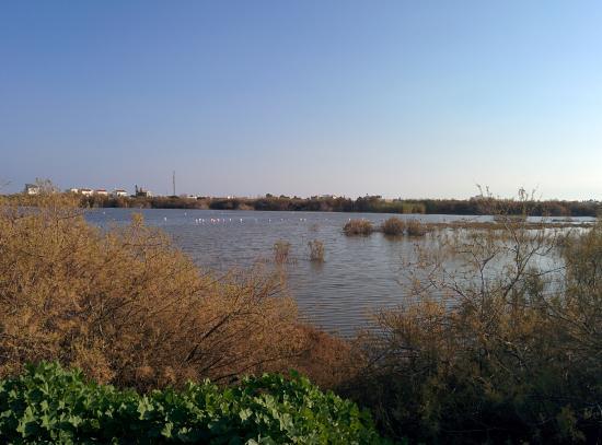 Λίμνη Ορόκλινης