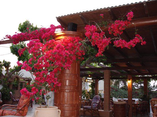 Μυριοκεφαλιτάκης Αλέξανδρος & Υιός