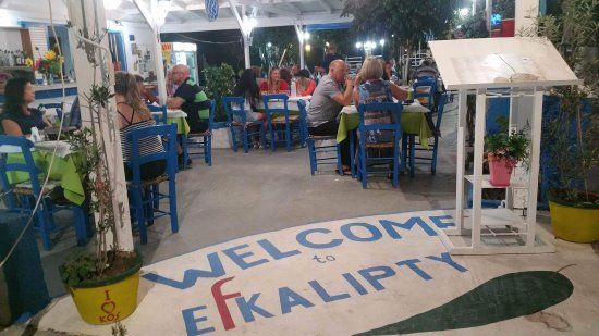 Ευκάλυπτοι