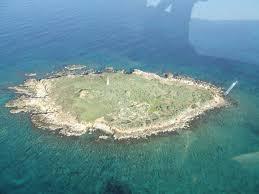 Σαλιαγκός Αντιπάρου