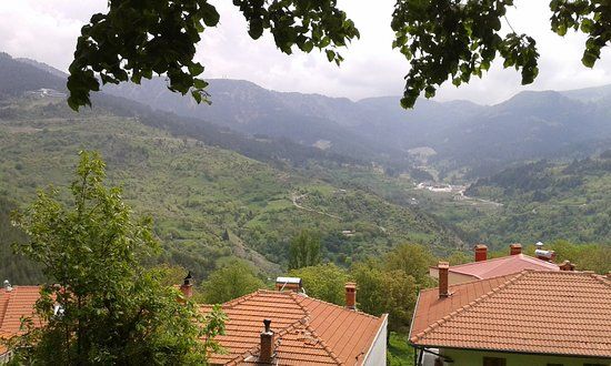 Αβερώφειος Κήπος